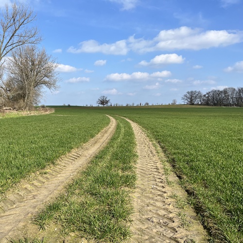 Was ändert sich 2025?